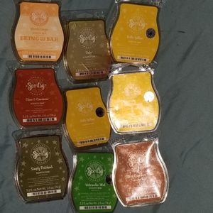 Lot of 9 Scentsy Wax Scents